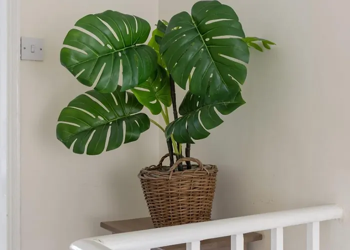 Park Crescent - Quaint Victorian With Free Parking Dom wakacyjny *